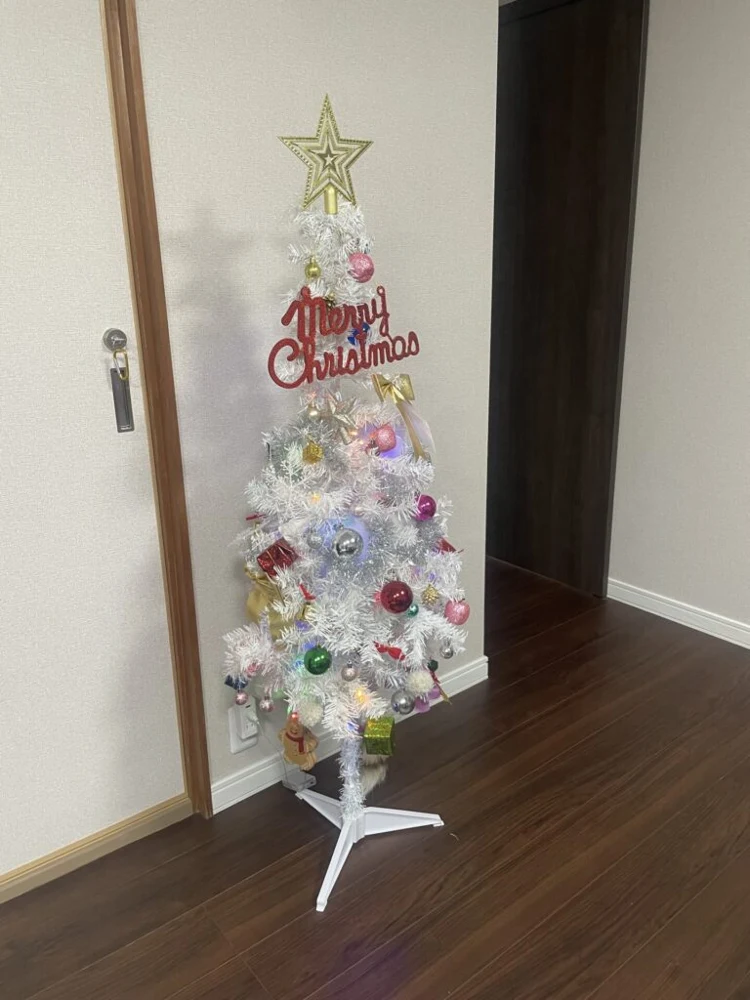 実際に運営中の障がい者グループホームの個室（三重県四日市市）